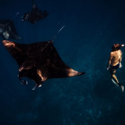 SFR_Exp_SnorkelwithMantaRays13-1200x802