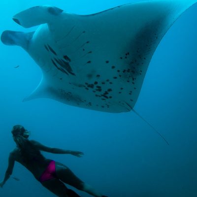 SFR_Exp_SnorkelwithMantaRays2